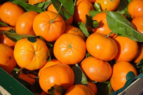 clementines-318210_960_720.jpg