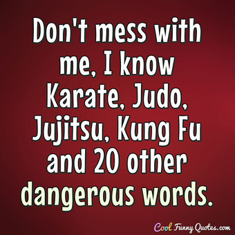 t-dont-mess-with-me-i-know-karate