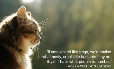 terry-pratchett-quote-cat